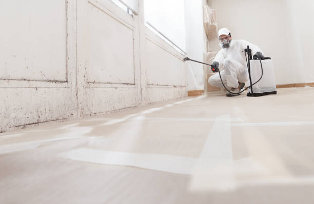 24/7 Emergency Black Mold Remediation experts in Haworth, NJ