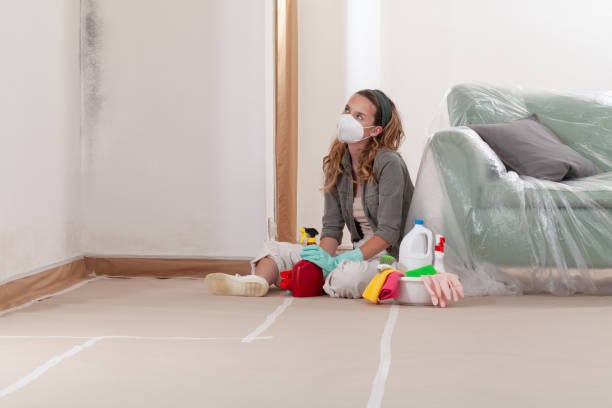 Reliable Black Mold Remediation contractor in Haworth, NJ by Mold Remediation HQ